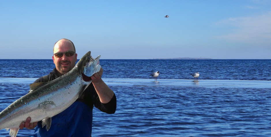 Ostsee Lachs