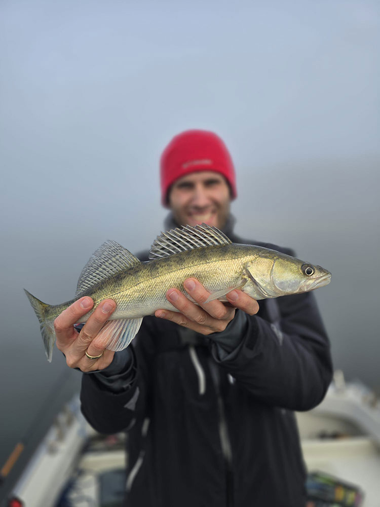 Zander aus dem Saaler Bodden